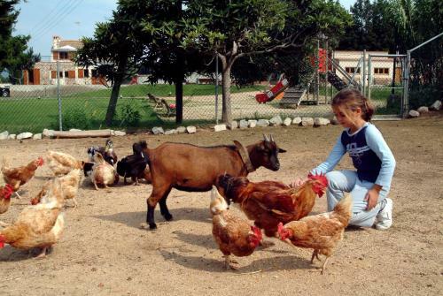 Agroturismo Allotjaments Rurals Vallplana