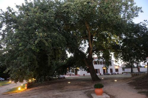 Agroturismo Allotjaments Rurals Vallplana