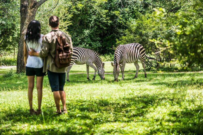 Hotel Avani Victoria Falls Resort