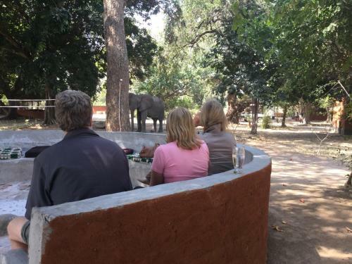 Lodge Zikomo Safari