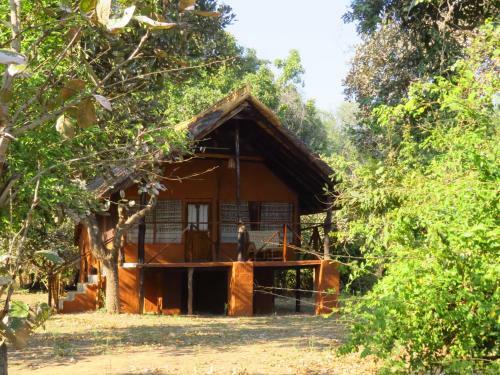 Lodge Zikomo Safari