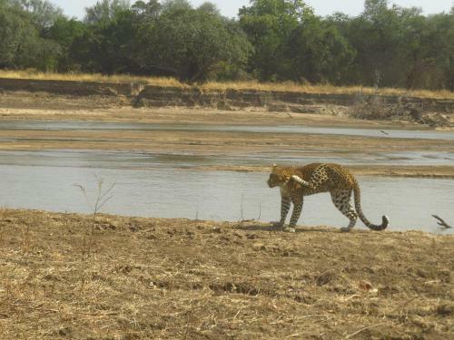 Lodge Zikomo Safari