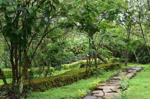 Albergue Red Rocks Rwanda - Campsite & Guesthouse