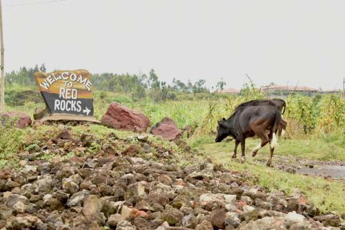 Albergue Red Rocks Rwanda - Campsite & Guesthouse