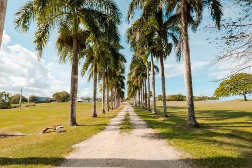 Manati City Inn Hotels