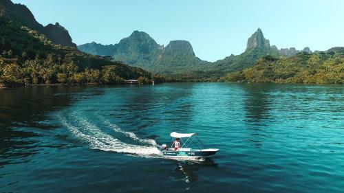 Robinson's Cove Villas - Deluxe Wallis Villa