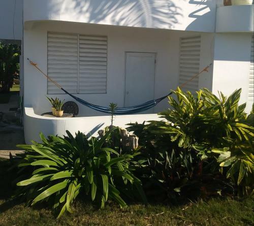 Apartamento Ocean Dreams