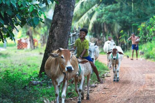 Prithy & Mutta (community Homestay Chansor 4)
