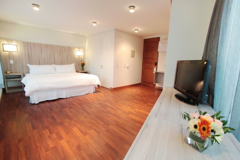 Hotel Torremayor Providencia