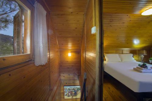 Ricky Chalet Near Troodos