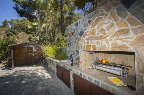 Ricky Chalet Near Troodos