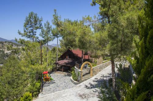 Ricky Chalet Near Troodos
