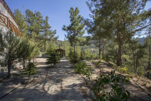 Ricky Chalet Near Troodos