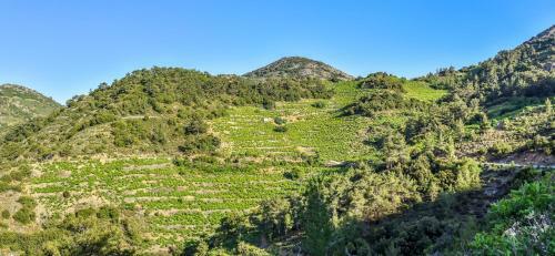Agroturismo Farmakas Living