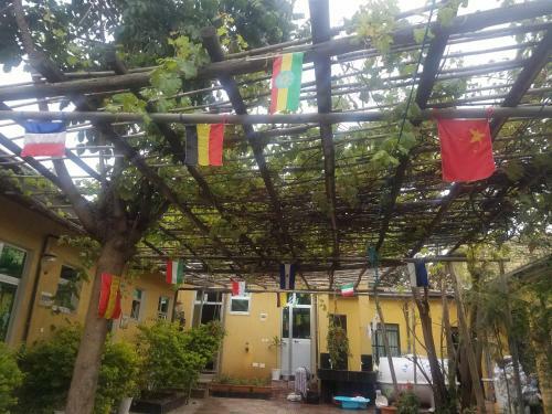 Hotel Parrot Guest House