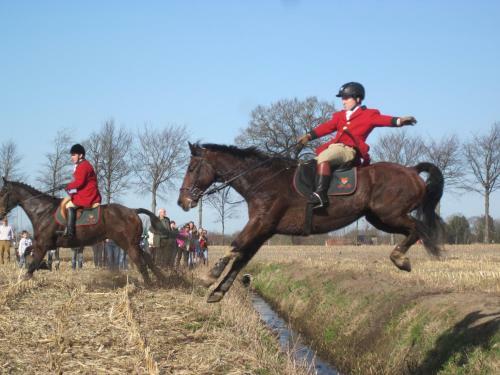 B&B 't Verloren Schaap