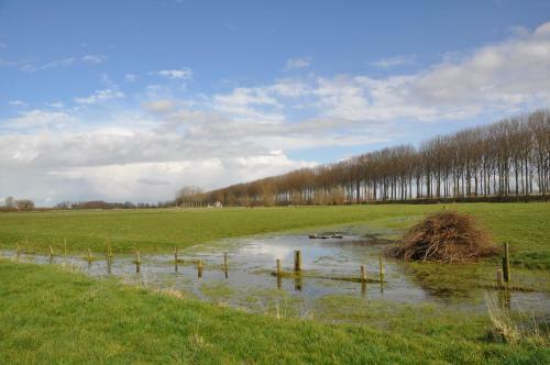 B&B 't Verloren Schaap