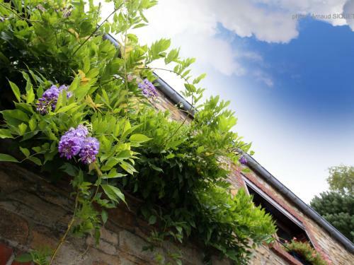 Charming Holiday Home In Mettet With Garden