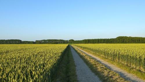 B&B Hemel & Haard