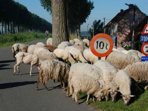 Aan De Damse Vaart