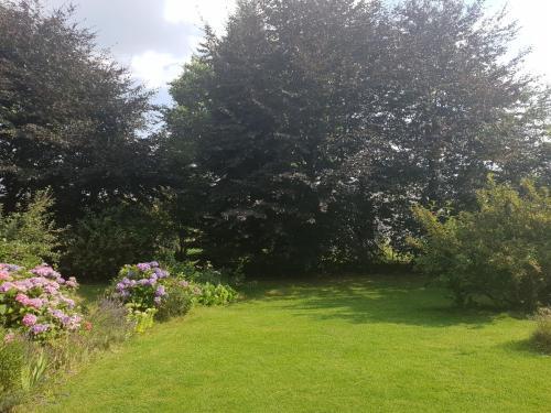 Spacious Holiday Home In Vaux-sur-sure With Garden