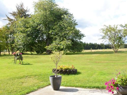 Spacious Holiday Home In Vaux-sur-sure With Garden