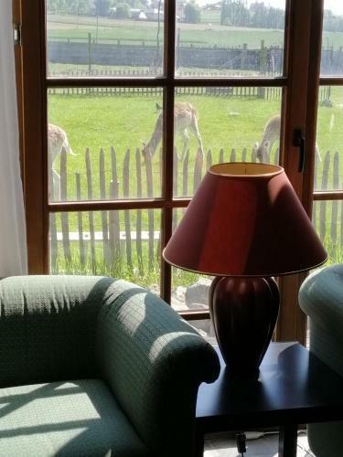 Hostal Johan's Lodge