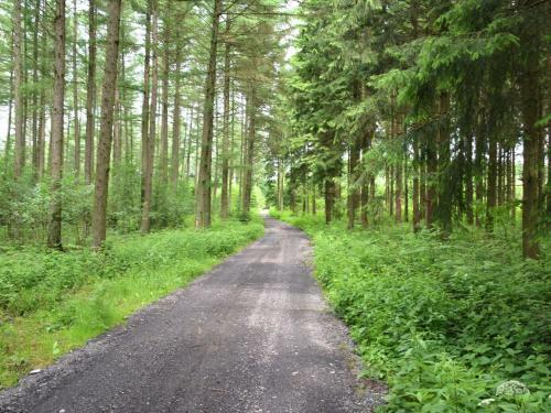 Quaint Farmhouse In Houffalize With Terrace