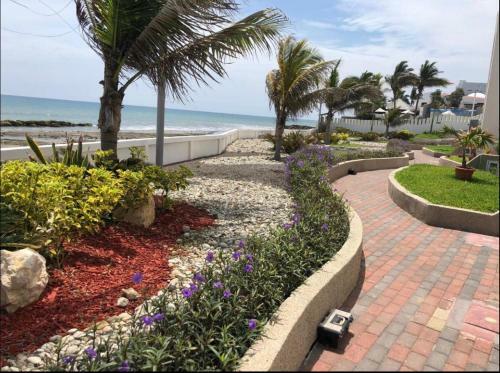 Apartamento Ciudad Del Mar