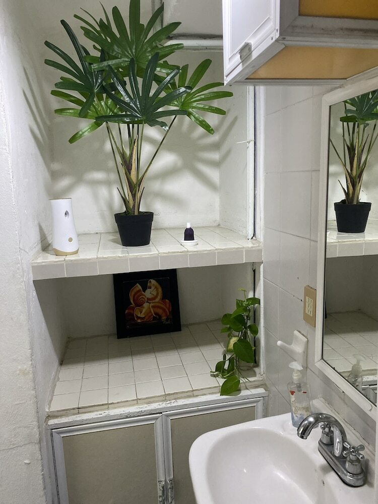 B & B Caribo Cozumel