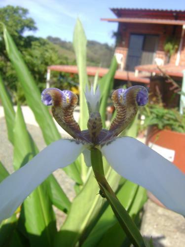 Posada Hosteria Florecer