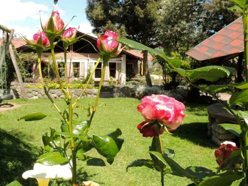Hotel La Casta