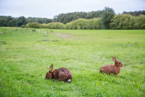 Bed & Breakfast Kernu Puhkek�la Hotel