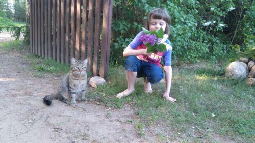 M�nni Farm Holiday House