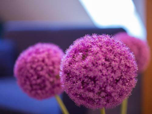 Agroturismo Harbor House L�mala