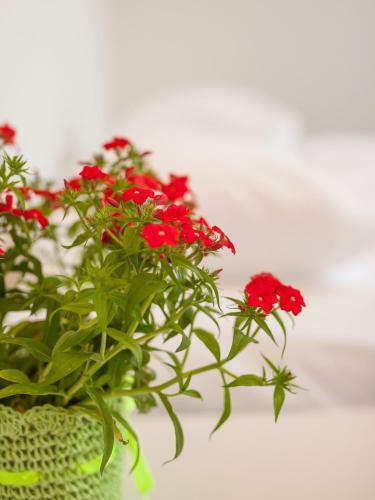 Agroturismo Harbor House L�mala