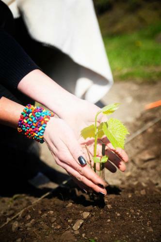 Hotel Luscher & Matiesen Muhu Winehouse