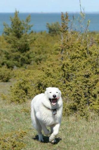 Hotel Luscher & Matiesen Muhu Winehouse