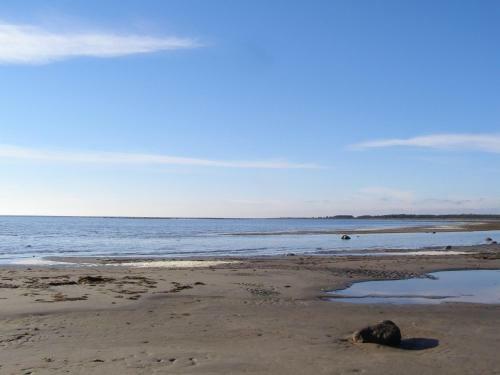 Kipi-koovi Holiday Centre