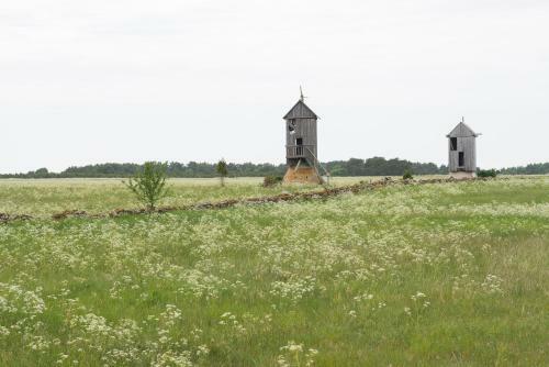 Hotel Loona Manor Guesthouse