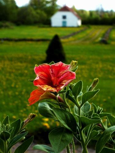 Hotel Loona Manor Guesthouse