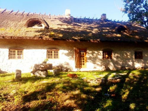 Lodge Paali Cottages