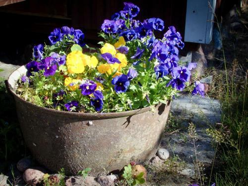 Agroturismo S�rve Holiday Home