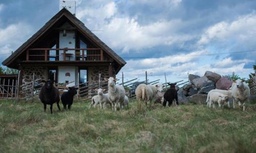 Hostal Roose Country House And Tiny Guesthouse