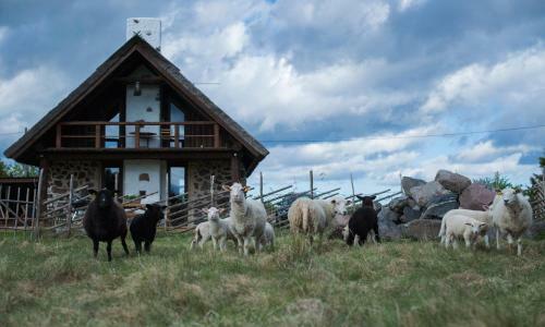 Hostal Roose Country House And Tiny Guesthouse