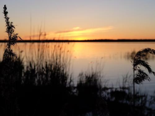 Agroturismo Hiie Talu