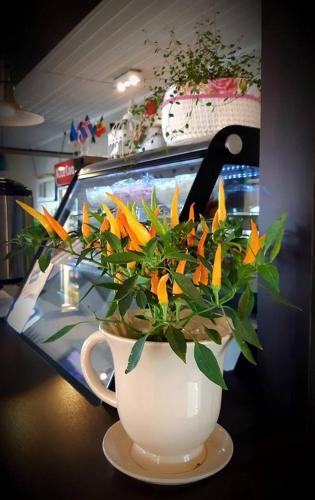 Hostal Tristvere Guesthouse-cafe