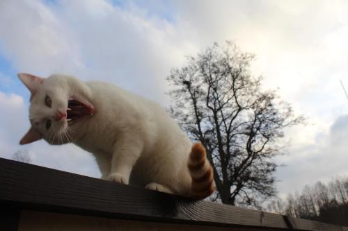 Hostal J�rve��re Holiday House