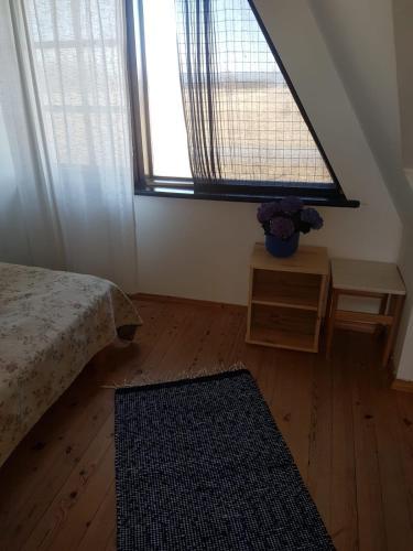 Hostal Tiiupesa Guest House