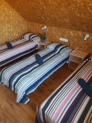 Hostal Tiiupesa Guest House